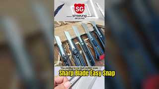 260114-1 วิดีโอของซินซึง